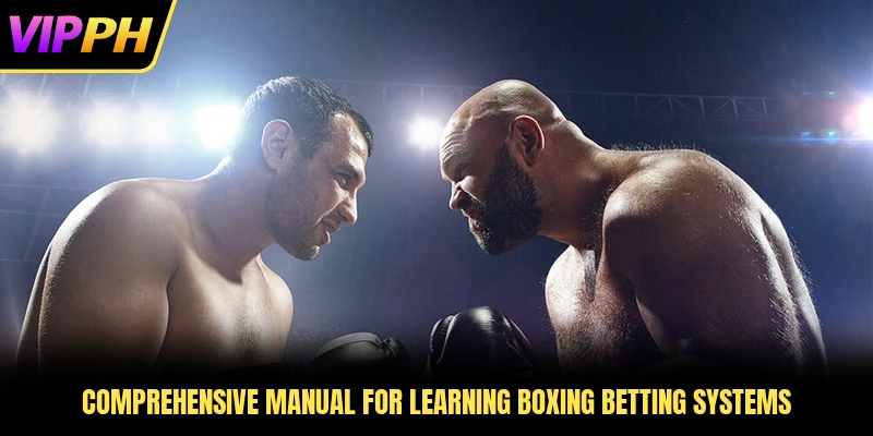 Comprehensive manual for learning Boxing betting systems