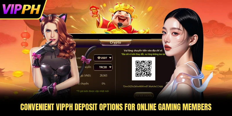 Convenient VIPPH deposit options for online gaming members