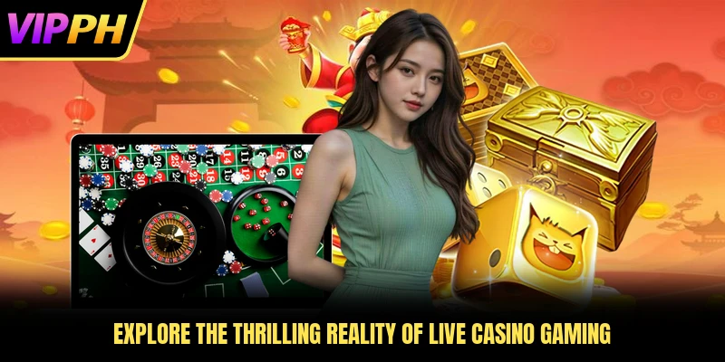 Explore the thrilling reality of live casino gaming