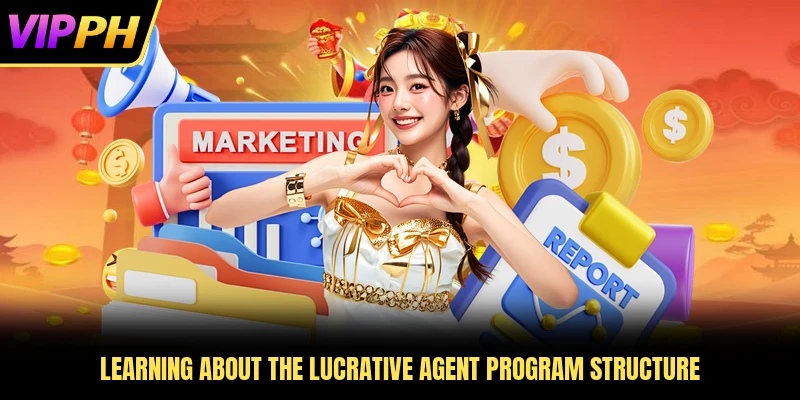 Learning about the lucrative agent program structure
