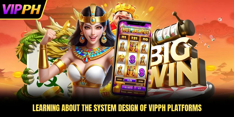 Learning about the system design of VIPPH platforms